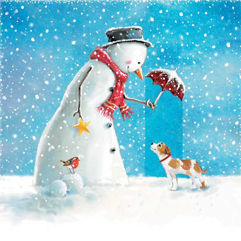 PDSA Christmas Cards - Friends Under The Snow