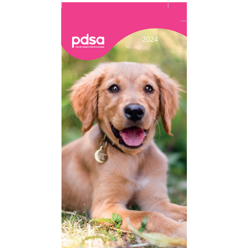 PDSA Dog Diary