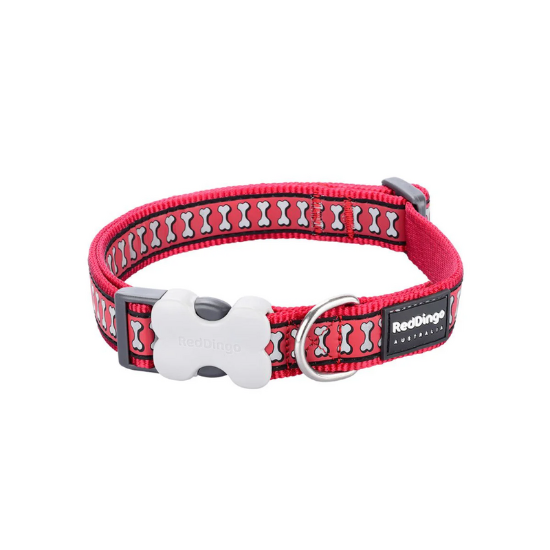 A Red Dingo Red Reflective Dog Collar on a white background