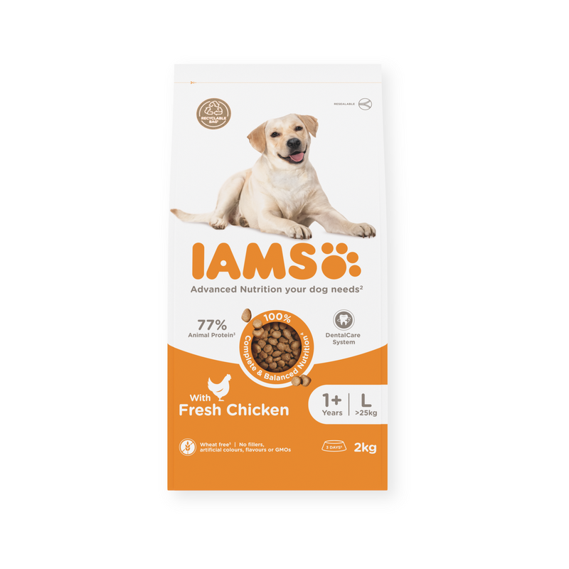 IAMS Dry Adult Dog Food Fresh Chicken (Large Breed) on white background
