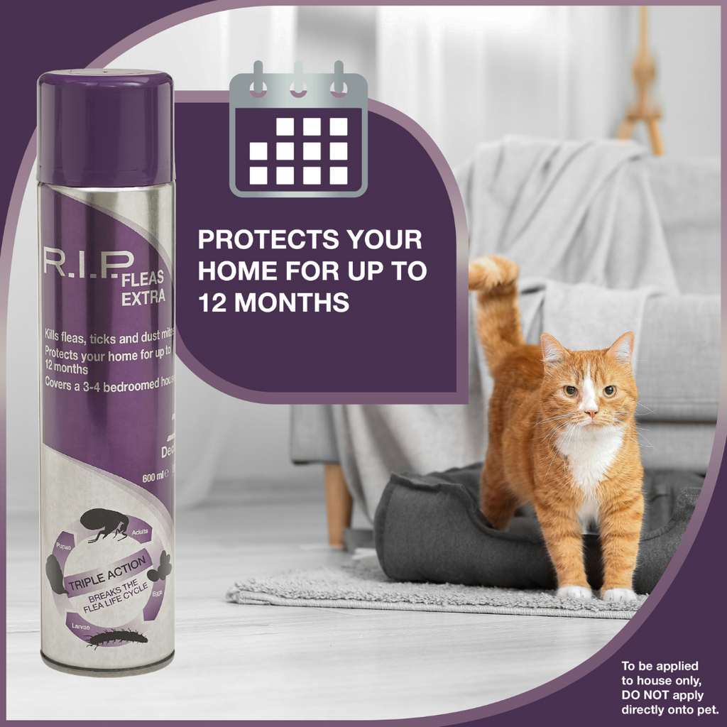 Pets at home 2024 flea spray for house