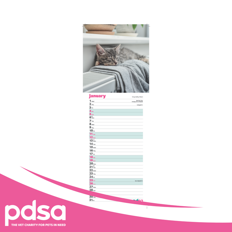 PDSA Cat Calendar 2025