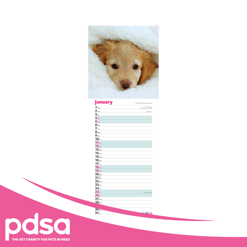 PDSA Dog Calendar 2025