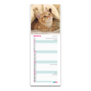 PDSA calendar with cat images on a white background