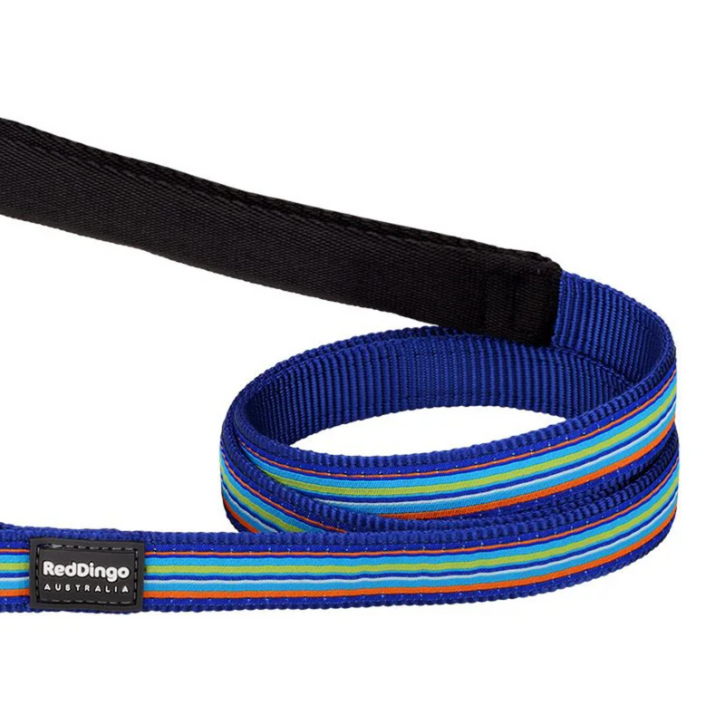 A close up of a Red Dingo Dark Blue Striped Dog Lead on a white background