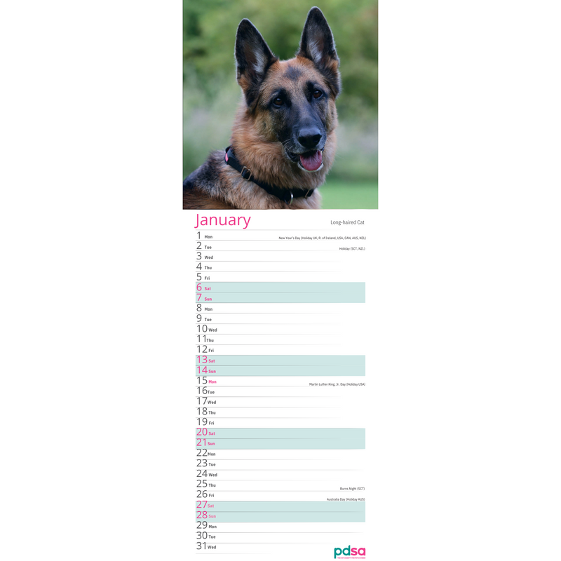 PDSA Dog Calendar