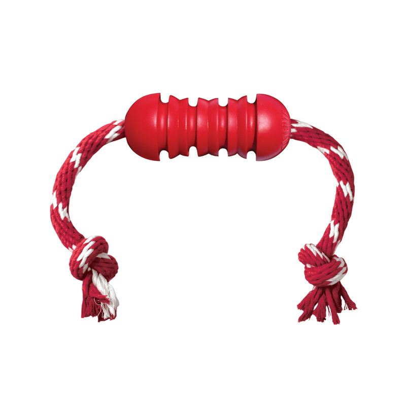 KONG Dental with Rope out of packaging