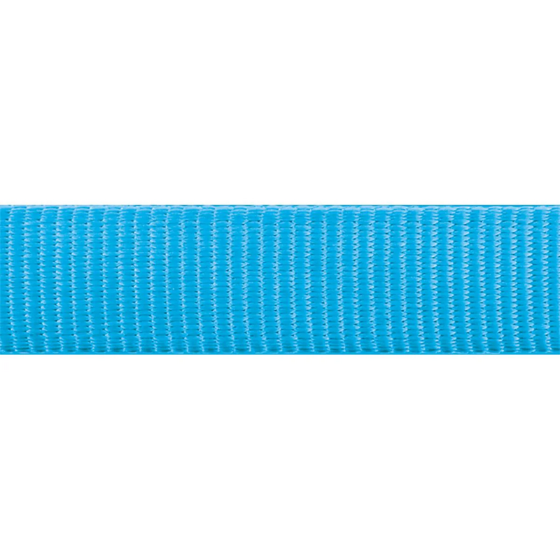 The Red Dingo Turquoise Dog Lead pattern