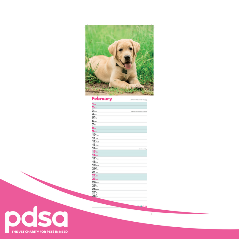 PDSA Dog Calendar 2025