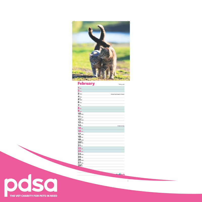 PDSA Cat Calendar 2025