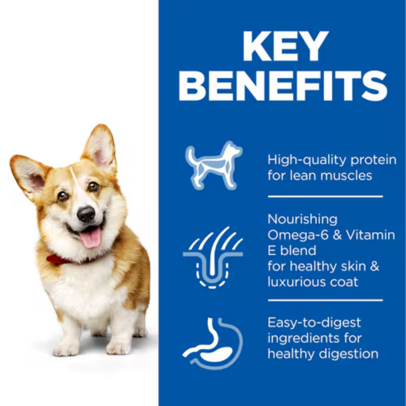 Hills Science Plan Small Adult Dry Dog Food Chicken info graphic