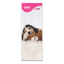 PDSA 2024 Dogs Calendar with a dog and teddy bear on a white background
