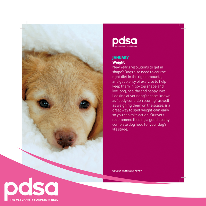 PDSA Dog Diary