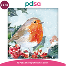 PDSA Charity Christmas card with a robin and berries, priced at £2.99.