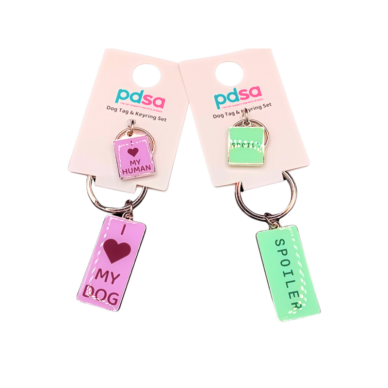 Dog Tag & Keyring Set Both