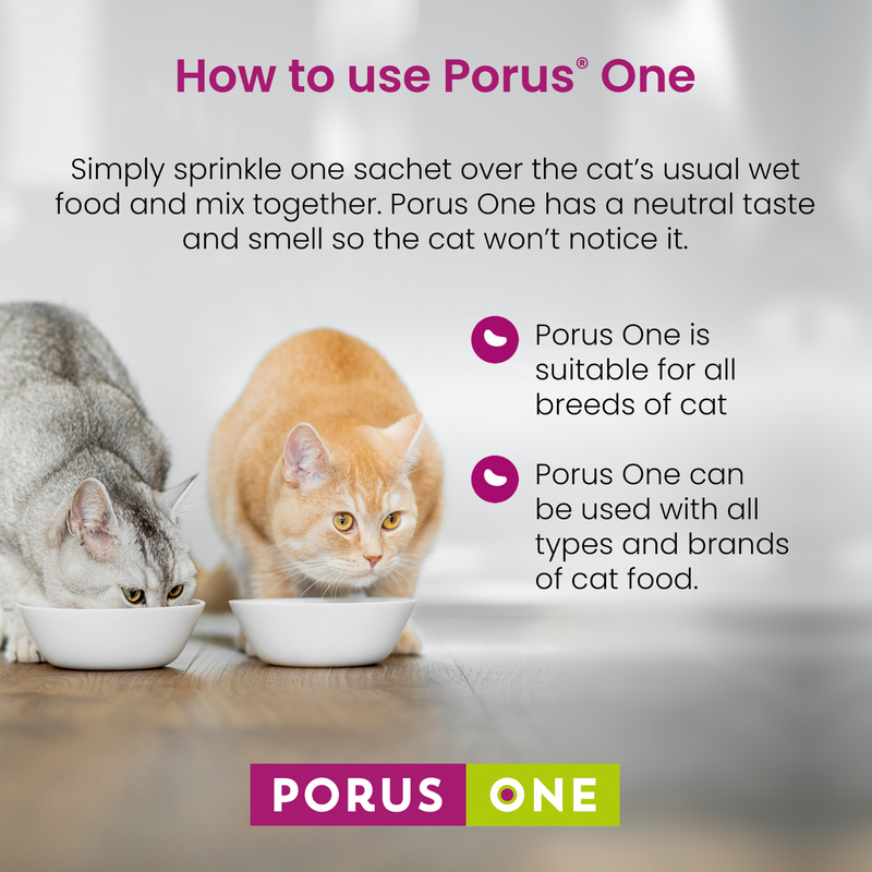 Dechra Porus One daily kidney health support for cats, prevents build-up of toxins 30 x 500mg how to use