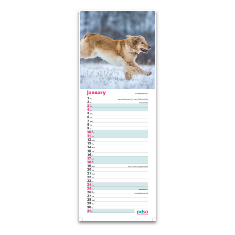 Calendar with a dog running in the snow on a white background