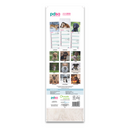PDSA calendar with dog images on a white background