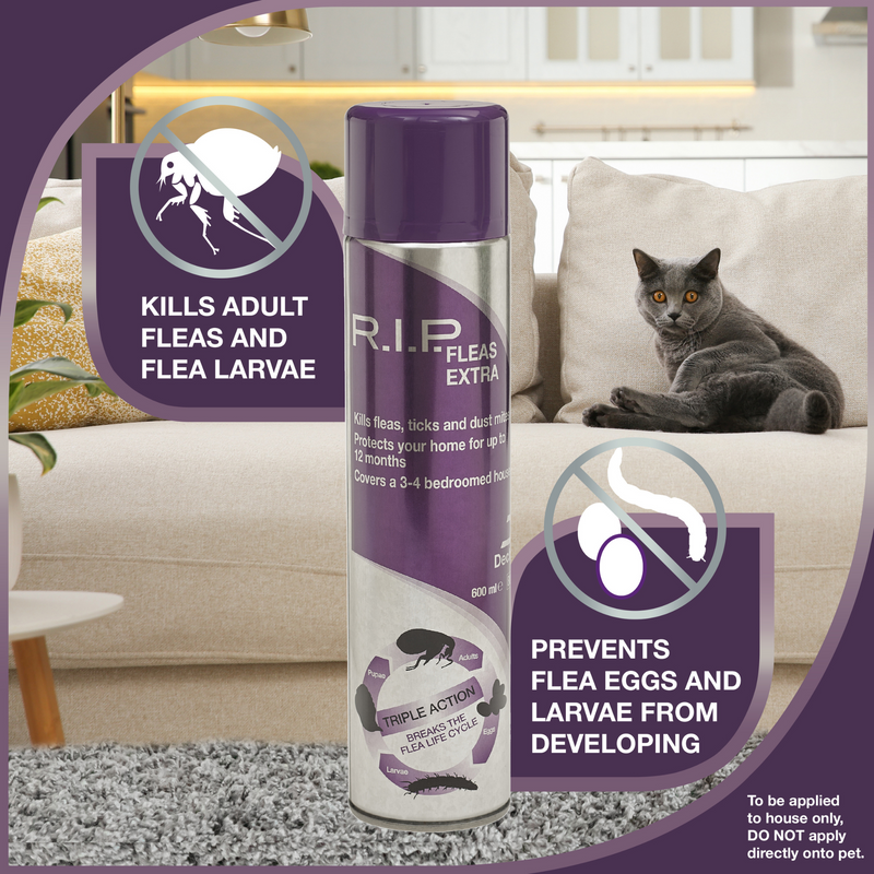 Dechra RIP Fleas Extra, Environmental Household Flea Spray, Floral
fragrance, 600 ml can preventative information