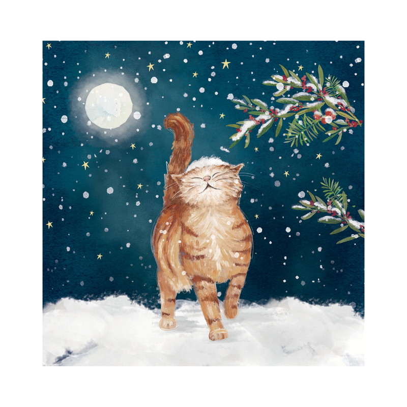 Cat in Moonlit Snow