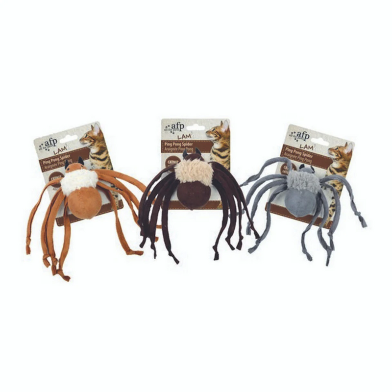 Three spider toys one grey, one brown and one dark brown with wool bodies each backed onto packaging with a tabby cat pictured on it, all on a white background. 