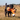 A black Labrador dog running through dry grass outdoors while holding an Ancol Heritage orange fox plush toy with white and black accents in its mouth.