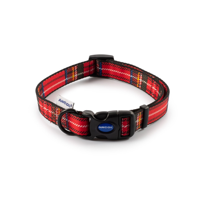 White background with a red tartan dog collar with a black plastic clip with 'ancol' written inside. 