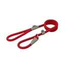 White background with a red 1.5mX12mm Ancol Viva Reflective Slip Lead with grey reflective thread strips.