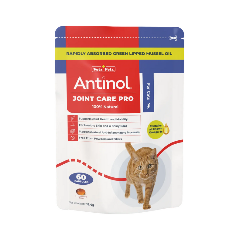 White background with a packet of Antinol Joint Care Pro for Cats, the pakcet has red and blue ascents with a ginger tabby cat pictured. Additional text on the packet states '100% Natural, Supports Joint Health and Mobility, For healthy skin and a shiny coat, Supports natural anti-inflammatory processes, Free from powders and fillers'.  