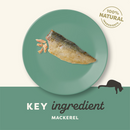 A green plate is a mackerel fillet pictured on a cream and green background. A silhouette of a cat is pictured with text below 'Key ingredient Mackerel'. 