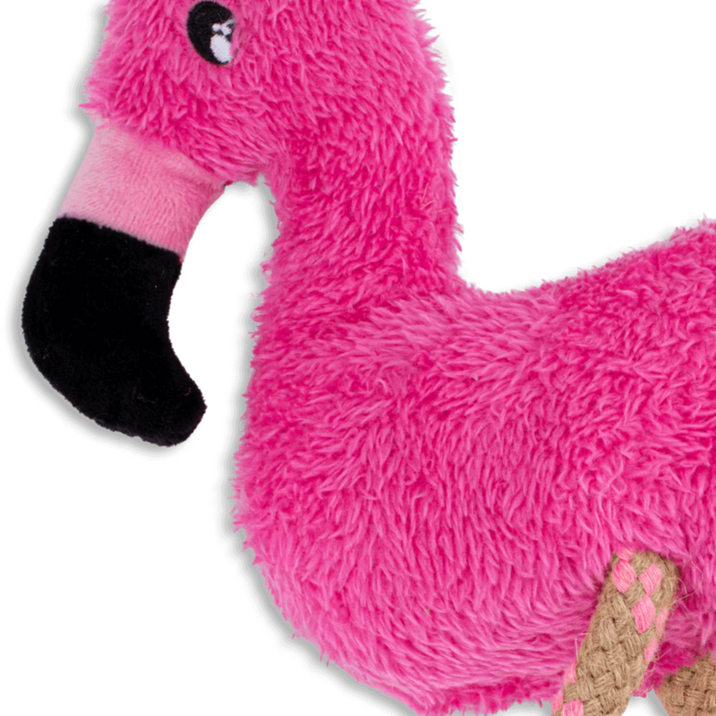 Flamingo Close Up