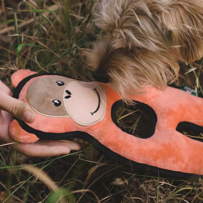 BECO dog sniffing orange dog toy