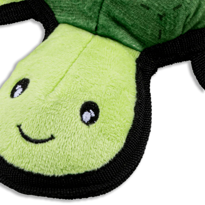 BECO Turtle Close Up