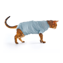 White background with an adult bengal cat wearing a geometric blue bodysuit while standing pictured.