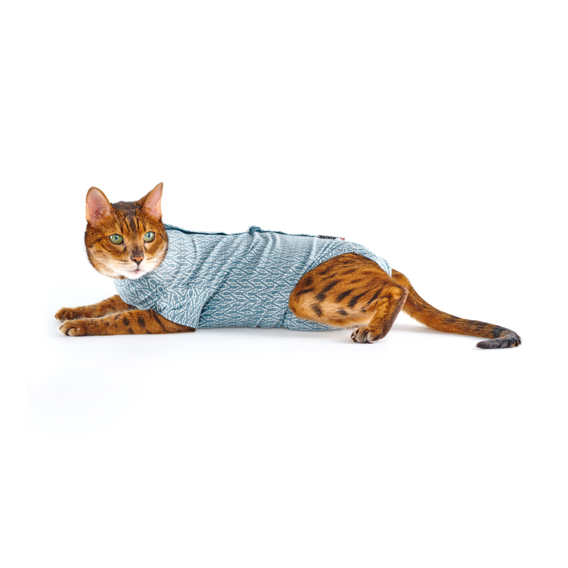 White background with an adult bengal cat wearing a geometric blue bodysuit while lying down pictured. 
