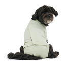 White background with an adult black cross breed dog wearing a geometric blue bodysuit while sat down with its back facing the front. 