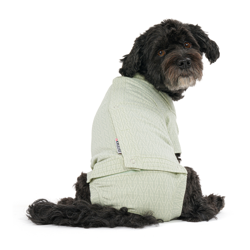 White background with an adult black cross breed dog wearing a geometric blue bodysuit while sat down with its back facing the front. 