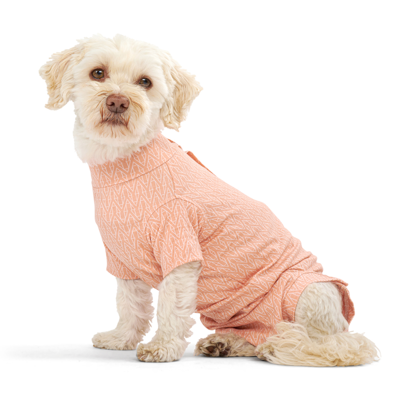 White background with an adult white cross breed dog wearing a geometric peach bodysuit while sat down. 