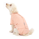 White background with an adult white cross breed dog wearing a geometric peach bodysuit while sat down with its back facing the front. 