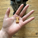 A hand is pictured with a bone shaped treat in the palm, with a dog's nose visibly waiting for the treat, the rest of the face is not visible. The dog is sat on a wooden floor. 