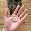 A hand is pictured with a disc shaped treat in the palm, with a dog's nose visibly waiting for the treat, the rest of the face is not visible. The dog is sat on a wooden floor. 