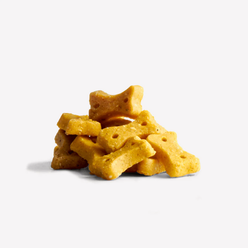 White background with a pile of bone shaped dog treats. 