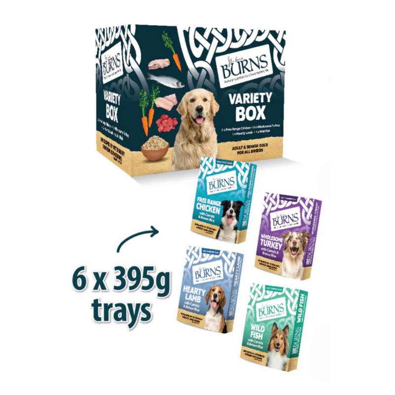 White background with a dark blue box of Burns Variety Box Wet Dog Food made with Carrots & Brown Rice. Pictured on the box is a Golden Retriever dog with illustrations of chicken pieces, fish, red meat, carrots and a bowl of rice. Next to the box is an four packets with an arrow pointed at it, with text '6x395g trays'. 