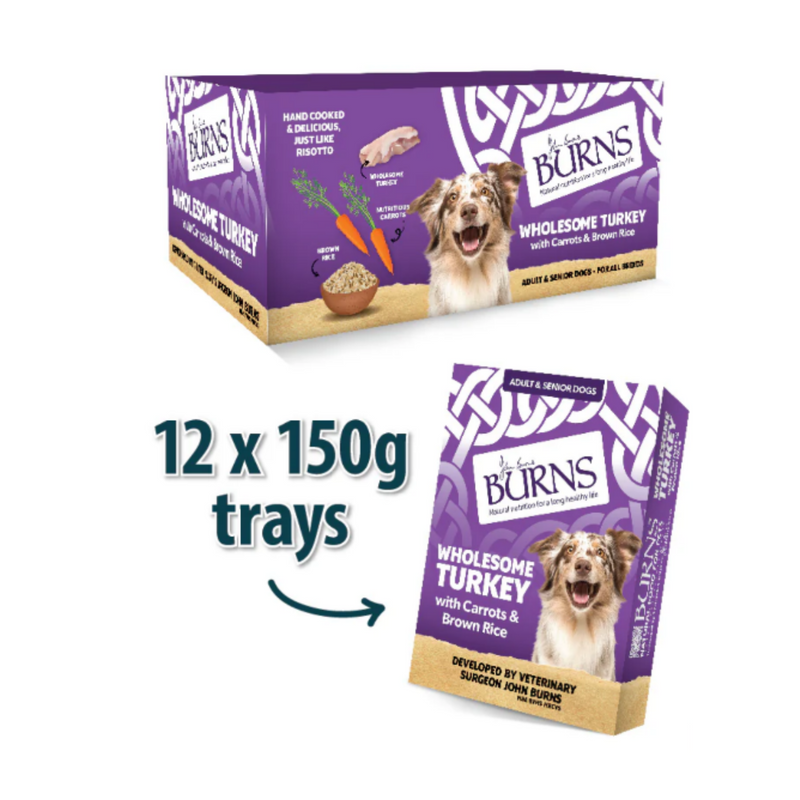 White background with a purple box of Burns Wholesome Turkey Wet Dog Food made with Carrots & Brown Rice. Pictured on the box is a marl collie dog with illustrations of chicken pieces, carrots and a bowl of rice. Next to the box is an individual packet with an arrow pointed at it, with text '12x150g trays'. 