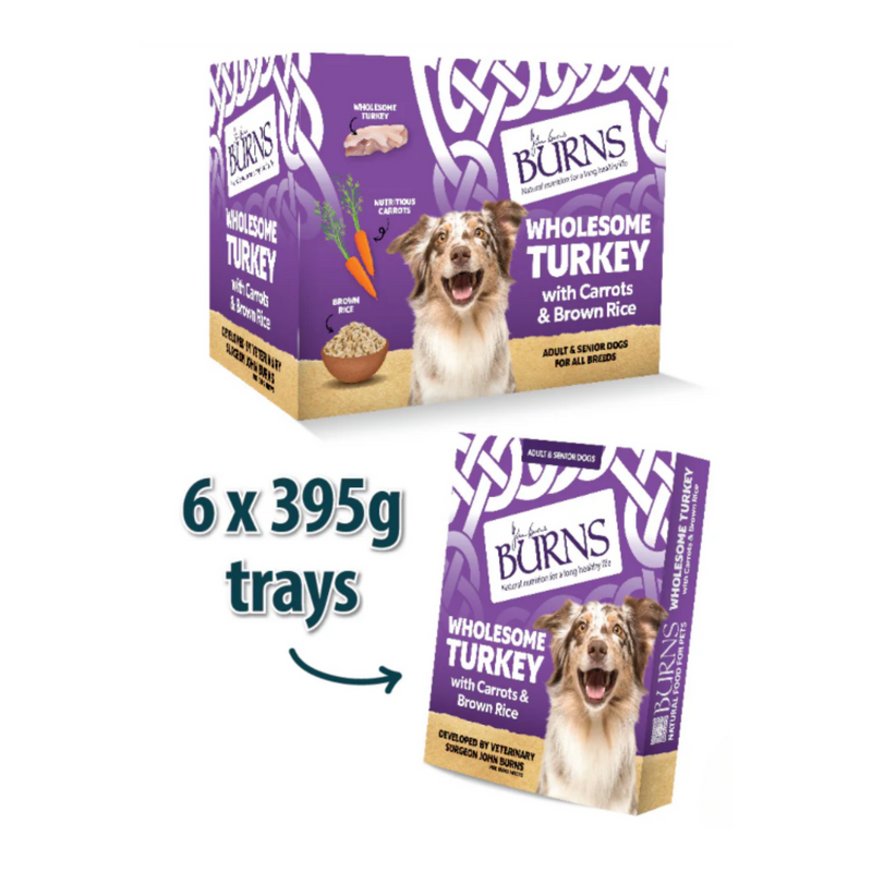 White background with a purple box of Burns Wholesome Turkey Wet Dog Food made with Carrots & Brown Rice. Pictured on the box is a marl collie dog with illustrations of chicken pieces, carrots and a bowl of rice. Next to the box is an individual packet with an arrow pointed at it, with text '6x395g trays'. 