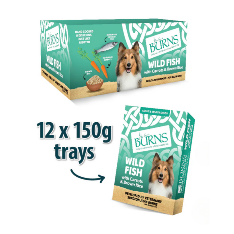 White background with a purple box of Burns Wild Fish Wet Dog Food made with Carrots & Brown Rice. Pictured on the box is a Sheltie dog with illustrations of a fish, carrots and a bowl of rice. Next to the box is an individual packet with an arrow pointed at it, with text '12x150g trays'. 