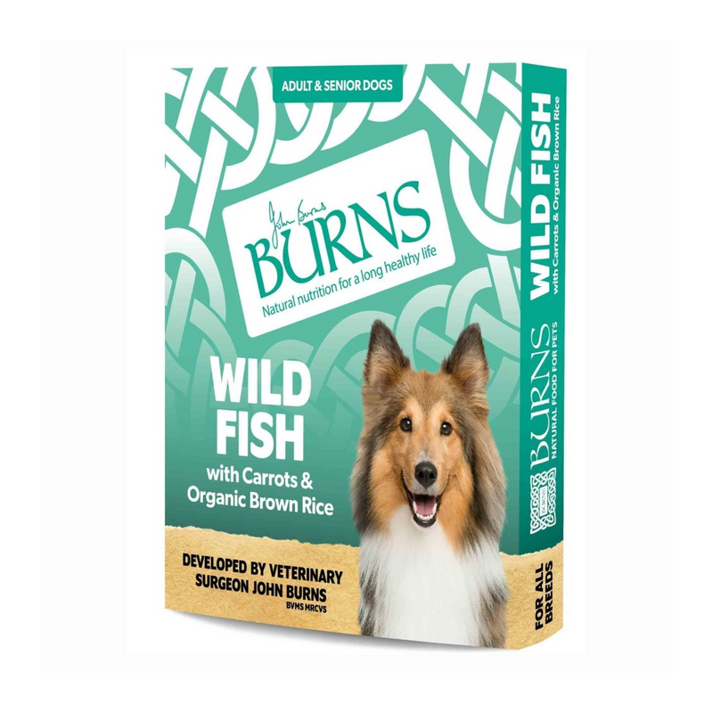White background with a single packet of Burns Wild Fish Wet Dog Food made with Carrots & Brown Rice. Pictured on the box is a Sheltie dog. 