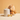 Dog with a Calibra bone-shaped treat next to a white ceramic container on a beige background