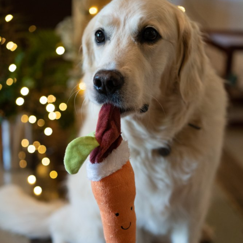 Golden retriever dog inside with a Christmas tree in the background holding a plush toy carrot with a red Santa hat and stitched eyes and smile. 