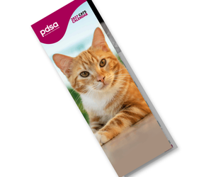 A vertical monthly calendar page featuring a photograph of an orange tabby cat at the top and a lined daily log labeled January with pink numbers and a small pdsa logo at the bottom.
